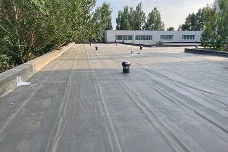大庆第二医院屋面防水工程